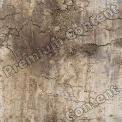 Photo Textures of Seamless Soil